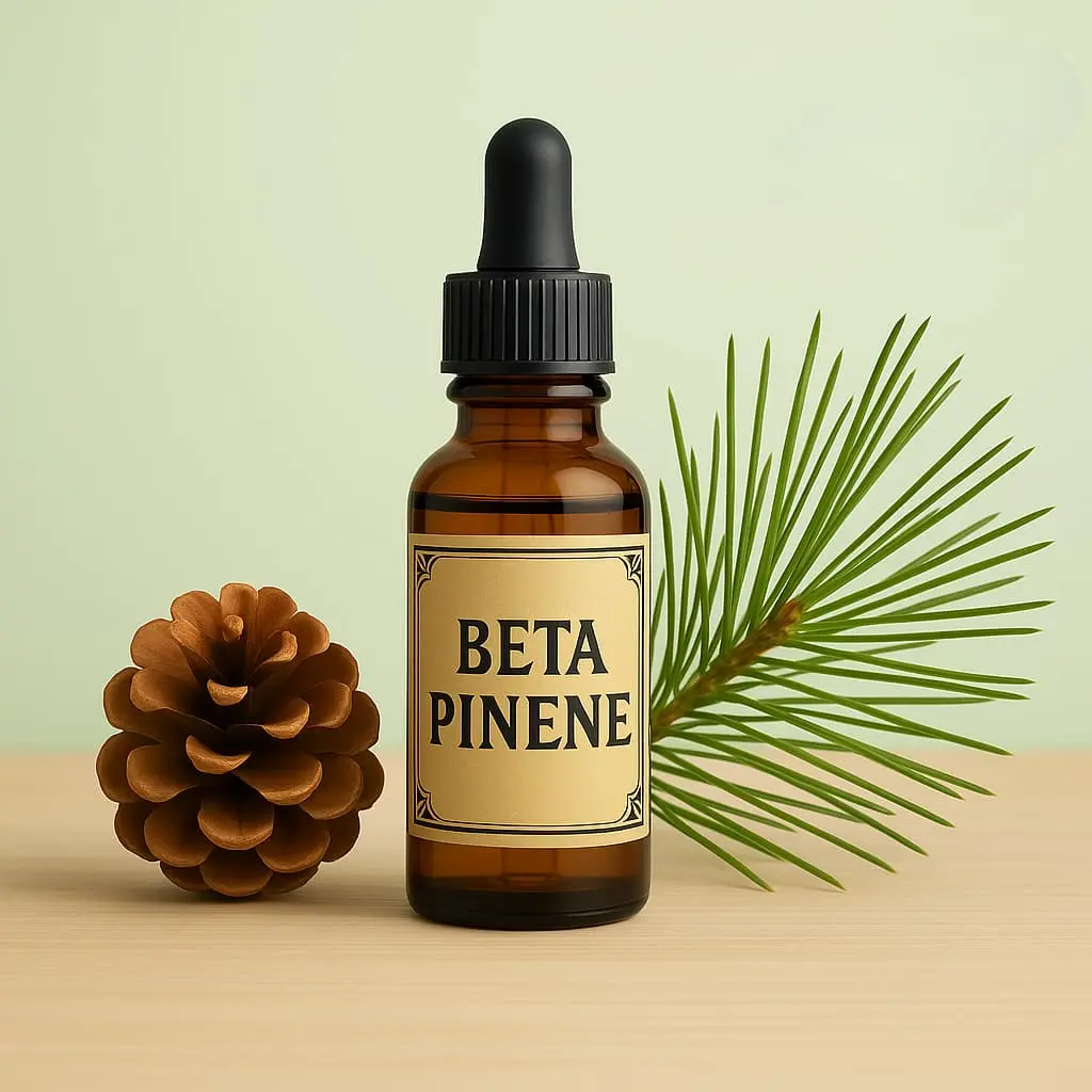 HTPPL is a trusted manufacturer and supplier of Beta Pinene.